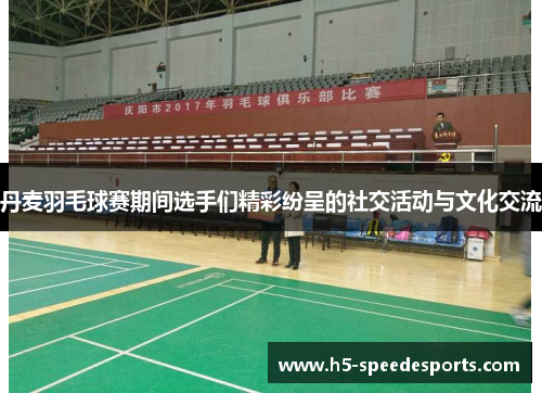 丹麦羽毛球赛期间选手们精彩纷呈的社交活动与文化交流