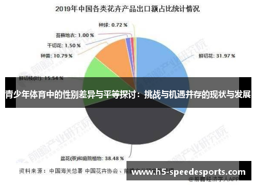 青少年体育中的性别差异与平等探讨：挑战与机遇并存的现状与发展