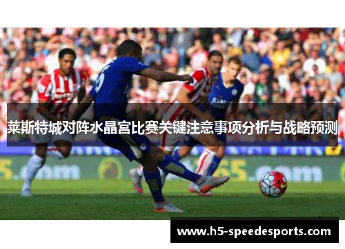 莱斯特城对阵水晶宫比赛关键注意事项分析与战略预测