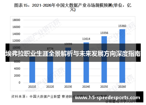 埃弗拉职业生涯全景解析与未来发展方向深度指南